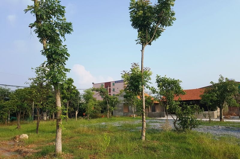 Có hay không công trình vi phạm này đang được “hậu thuẫn” từ phía chính quyền phường Đại Nài?