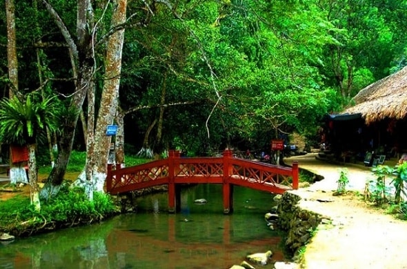 Suối cá thần dưới chân núi Trường Sinh