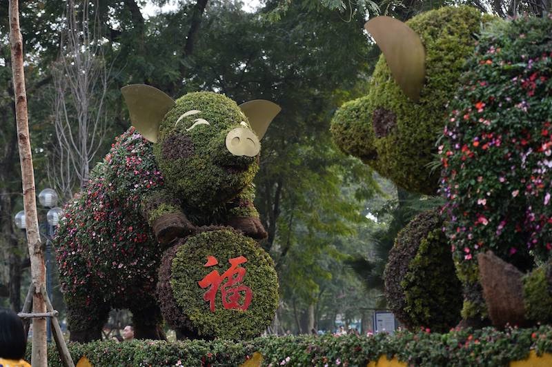 Hai chú heo cầm đồng tiền may mắn tại khu vực hồ Hoàn Kiếm, ảnh Hoàng Anh
