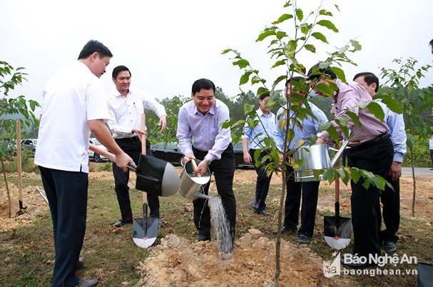 Sau lễ phát động, các đồng chí lãnh đạo tỉnh Nghệ An tham gia trồng cây xanh tại xóm Lâm Nghiệp, xã Nghi Lâm, huyện Nghi Lộc. Ảnh: Báo Nghệ An