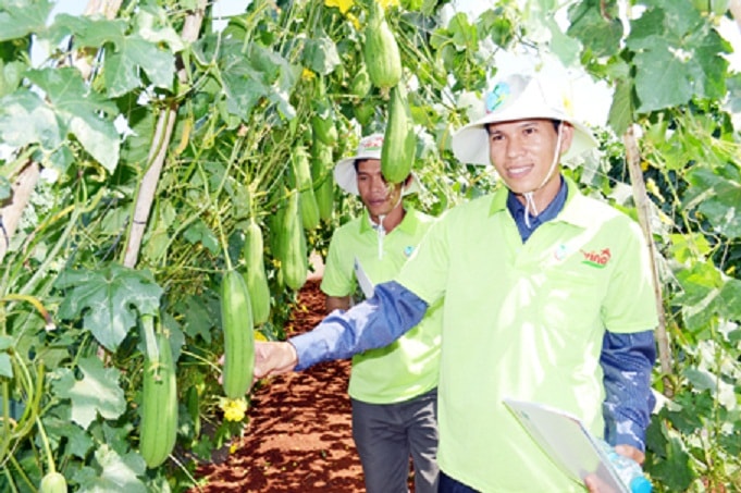 Kỹ sư, nông dân trong tỉnh tham gia Ngày hội ruộng đồng được tổ chức tại huyện Cẩm Mỹ, tỉnh Đồng Nai. Ảnh: H.Dung