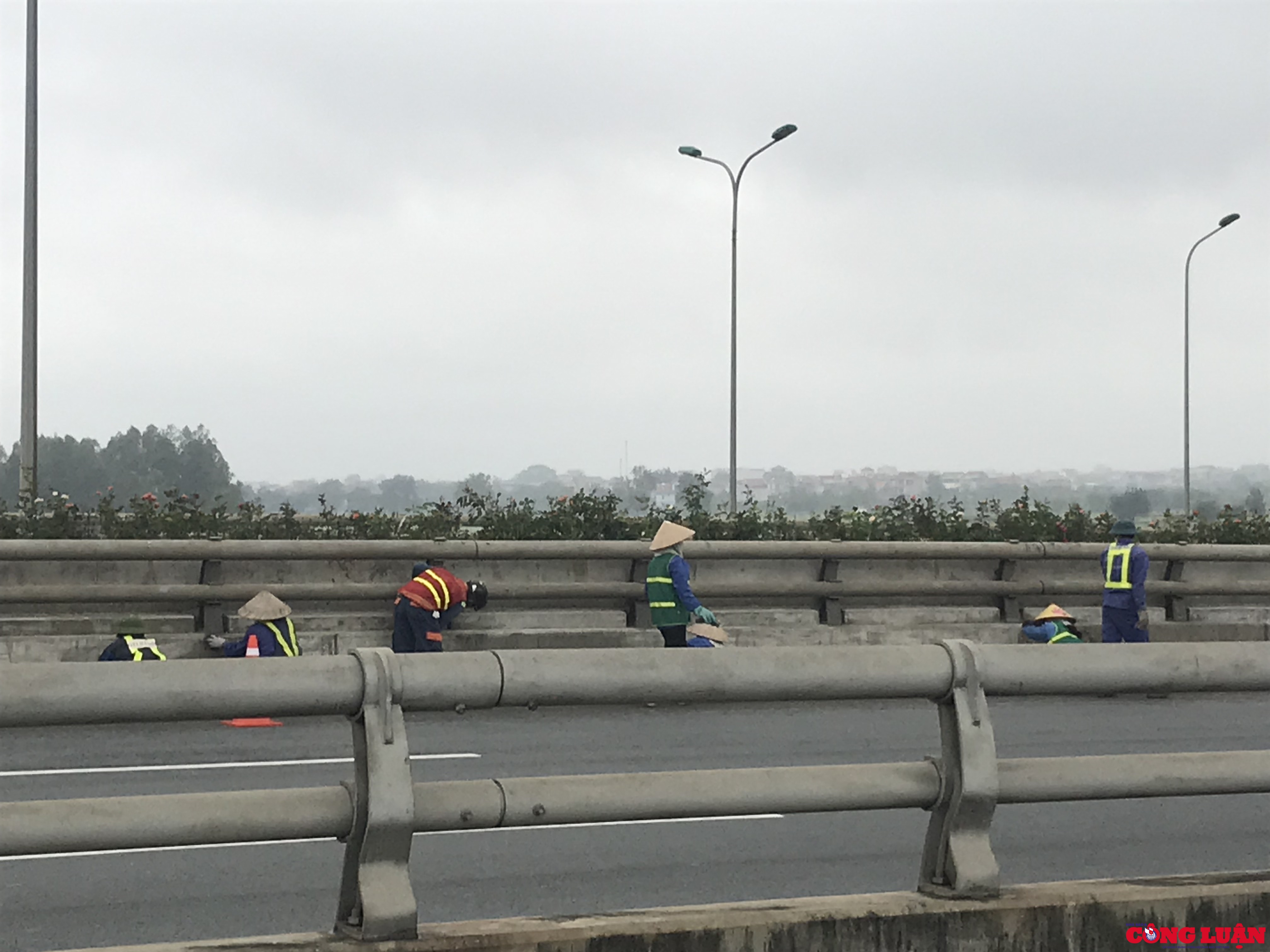 Tuyến đường từ sân bay Nội Bài tới trung tâm Thủ đô Hà Nội được quét dọn sạch sẽ và trang trí thêm hoa tại giải phân cách