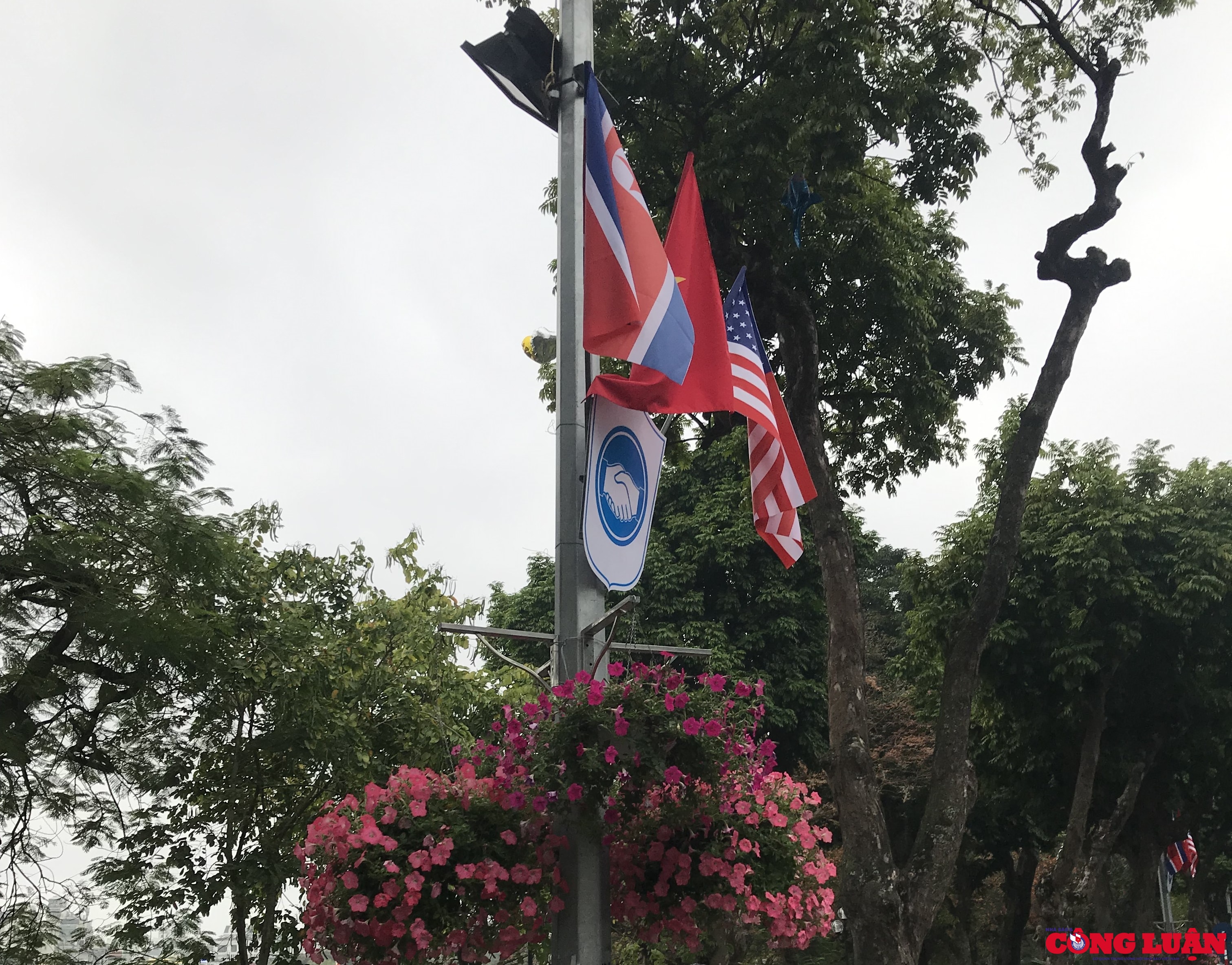 Cờ Việt Nam, Mỹ, Triều Tiên cùng với biểu tượng hòa bình xuất hiện trên khắp mọi nơi