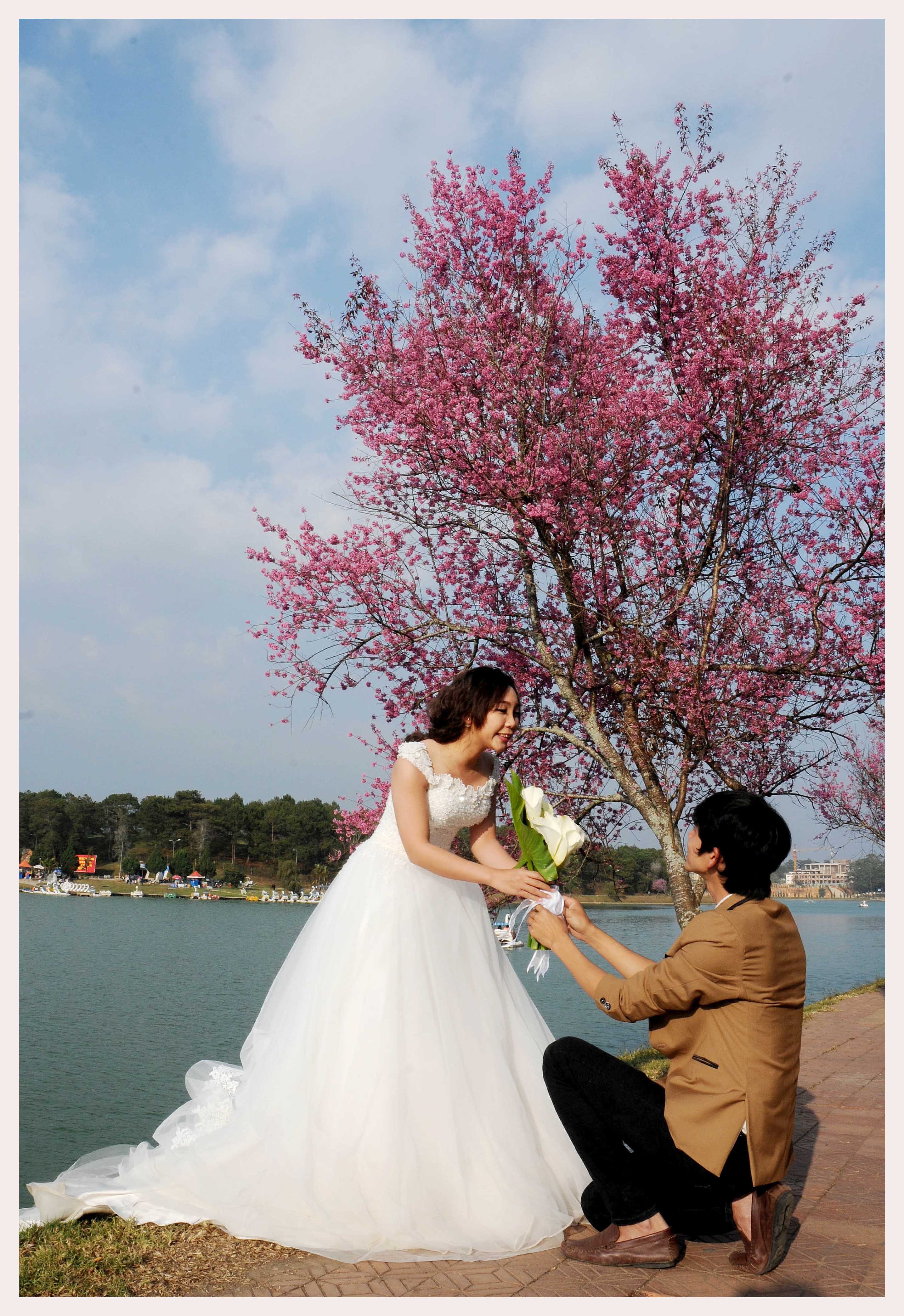 DALAT, TP TÌNH YÊU - HA HUU NET