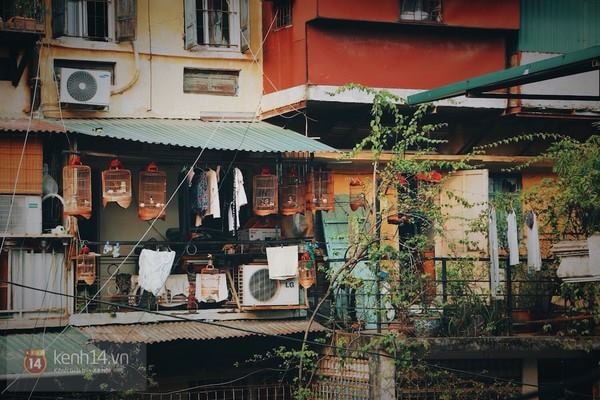 “Nhà chật” gợi lại ký ức thanh xuân của nhiều lớp người trong các khu tập thể cũ ở Hà Nội (Ảnh: Kênh 14)