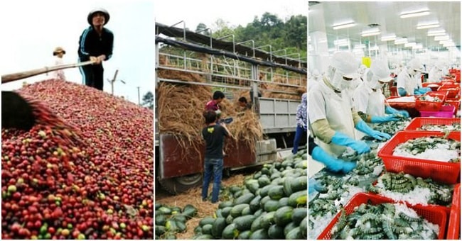 Giá trị xuất khẩu 2 tháng đầu năm 2019 đạt 5,5 tỷ USD, giảm 1,6% so với cùng kỳ năm 2018 (Ảnh minh họa)