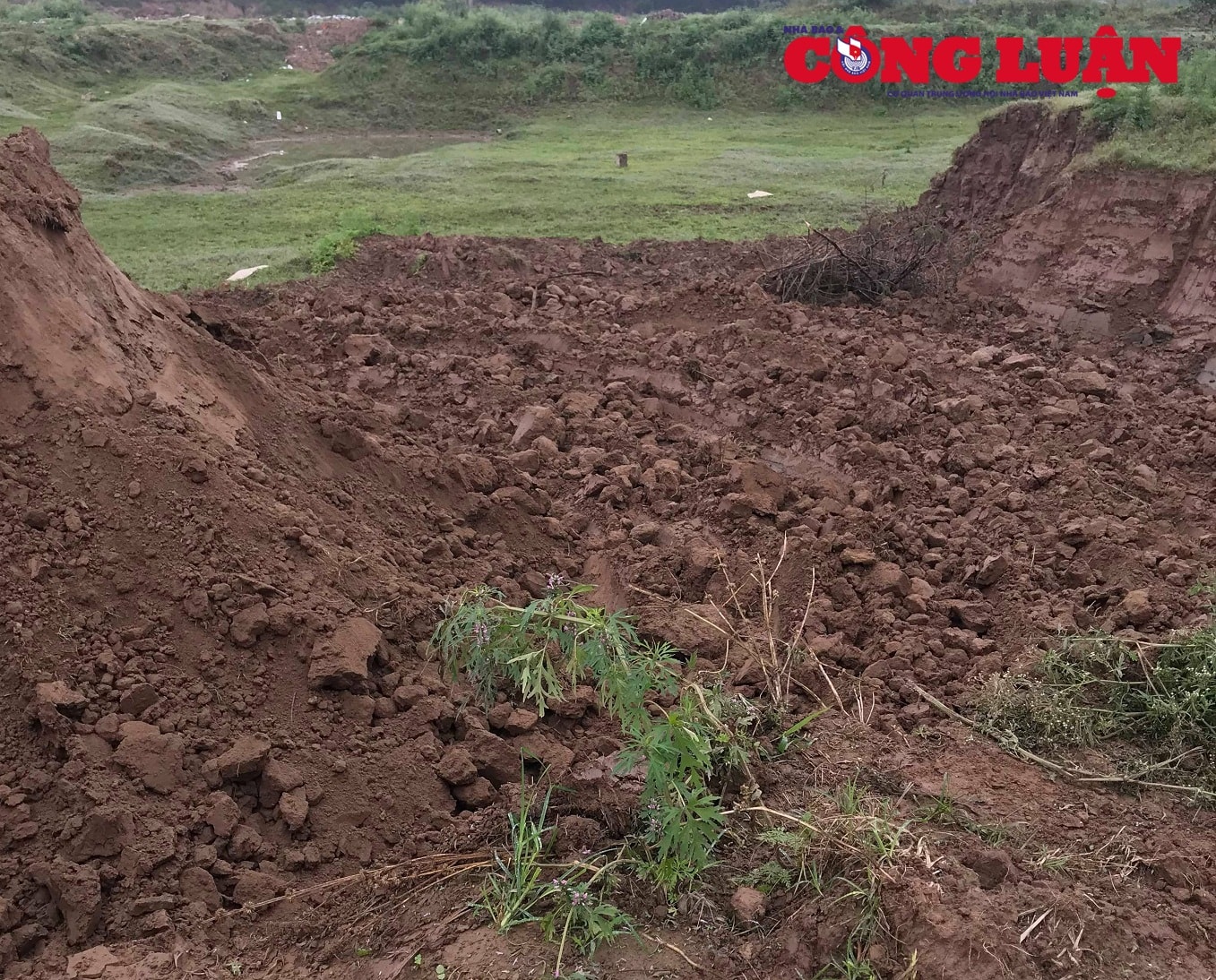Khu vực bị đào bới không thể sản xuất nông nghiệp. Ảnh: Quốc Trần