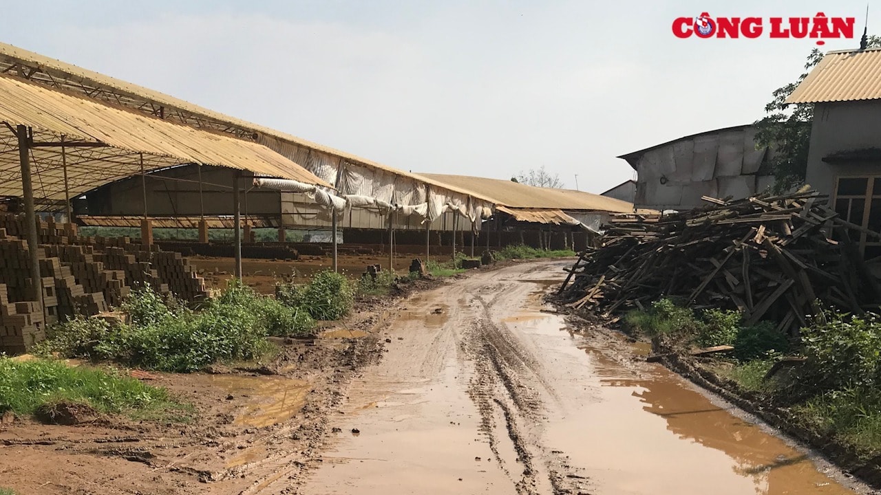 Hoạt động của xe tải phục vụ sản xuất của các lò gạch thủ công khiến đê Khoang Ông xuống cấp nghiêm trọng