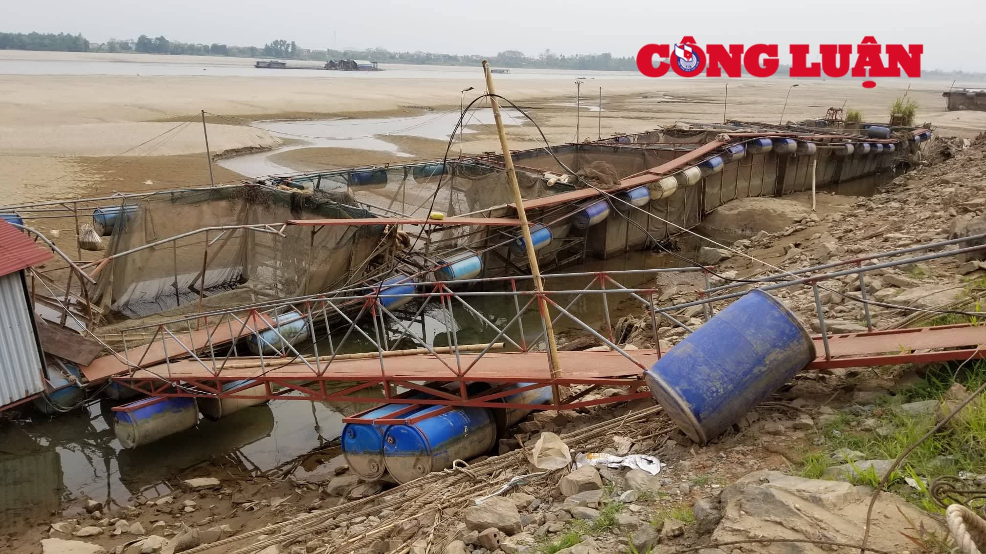 Nước cạn, đã khiến cho hàng chục lồng cá trơ đáy.