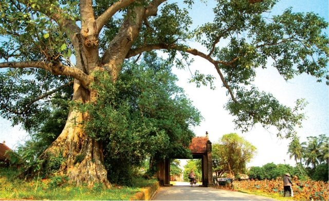 Các nét văn hoá truyền thống ở làng cổ Đường Lâm cũng sẽ được quảng bá ở sự kiện Festival này (ảnh minh họa). Ảnh: TL.