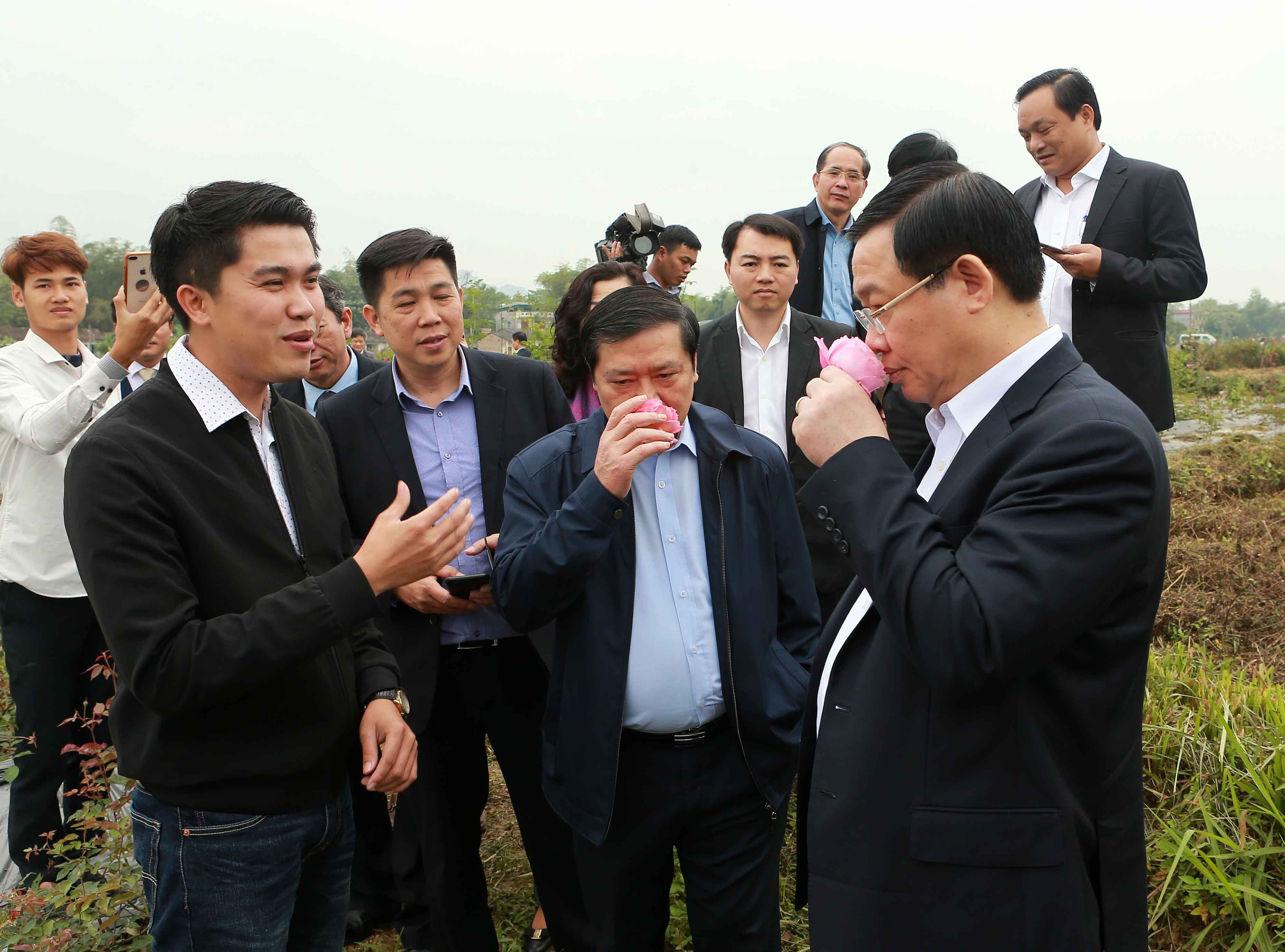 Phó Thủ tướng Vương Đình Huệ thăm mô hình trồng dâu tây và hoa hồng của gia đình anh Đào Duy Trường ở xã Hưng Đạo, thành phố Cao Bằng. Ảnh: VGP