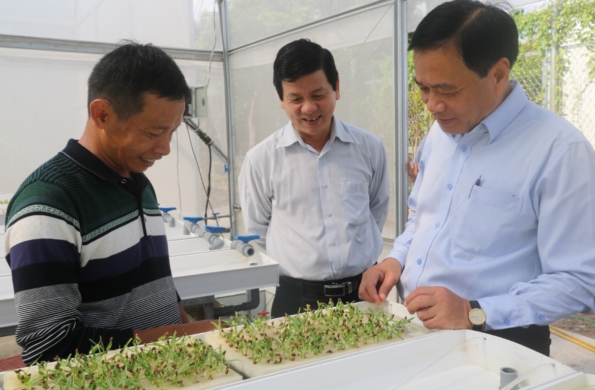 Chủ tịch UBND tỉnh Nguyễn Văn Dương thăm mô hình trồng rau thủy canh. Ảnh: Hà Vy (VietnamTimes).