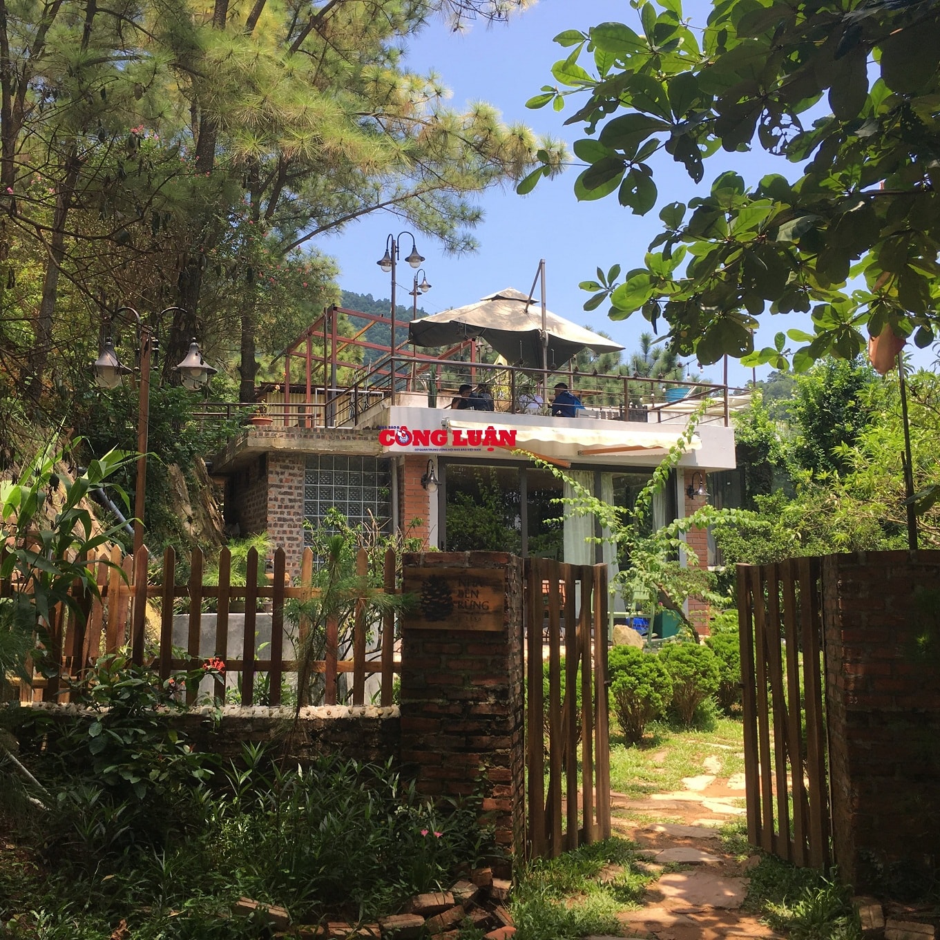Các homestay mọc lên như nấm tại khu vực rừng phòng hộ thôn Lâm Trường, xã Minh Phú.