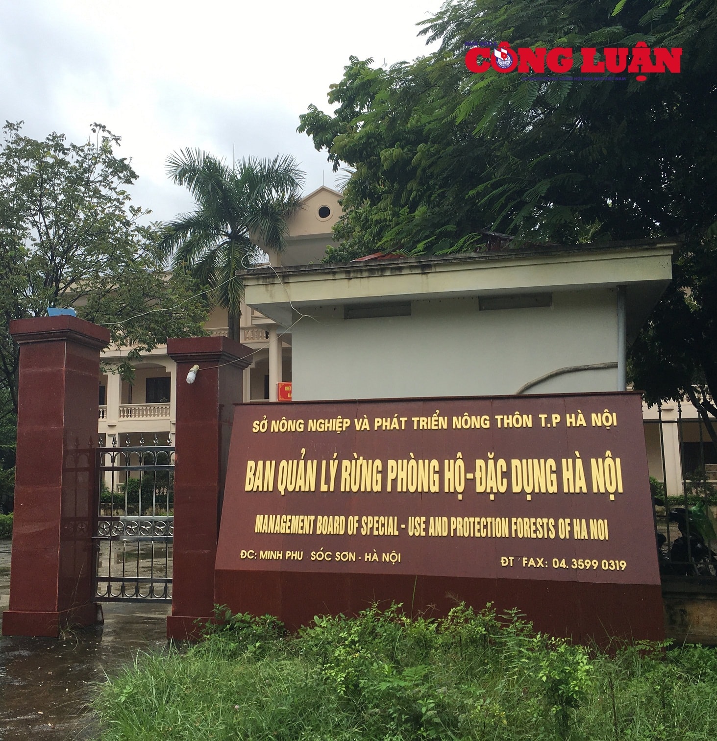 Trách nhiệm thuộc Chủ tịch UBND, Phó chủ tịch và cán bộ địa chính xã Minh Trí, xã Minh Phú; Giám đốc BQL rừng phòng hộ đặc dụng Hà Nội; Trưởng phòng Tài nguyên – Môi trường; Giám đốc Văn phòng đăng ký đất và nhà huyện Sóc Sơn; Đội trưởng đội Thanh tra Xây dựng huyện Sóc Sơn.