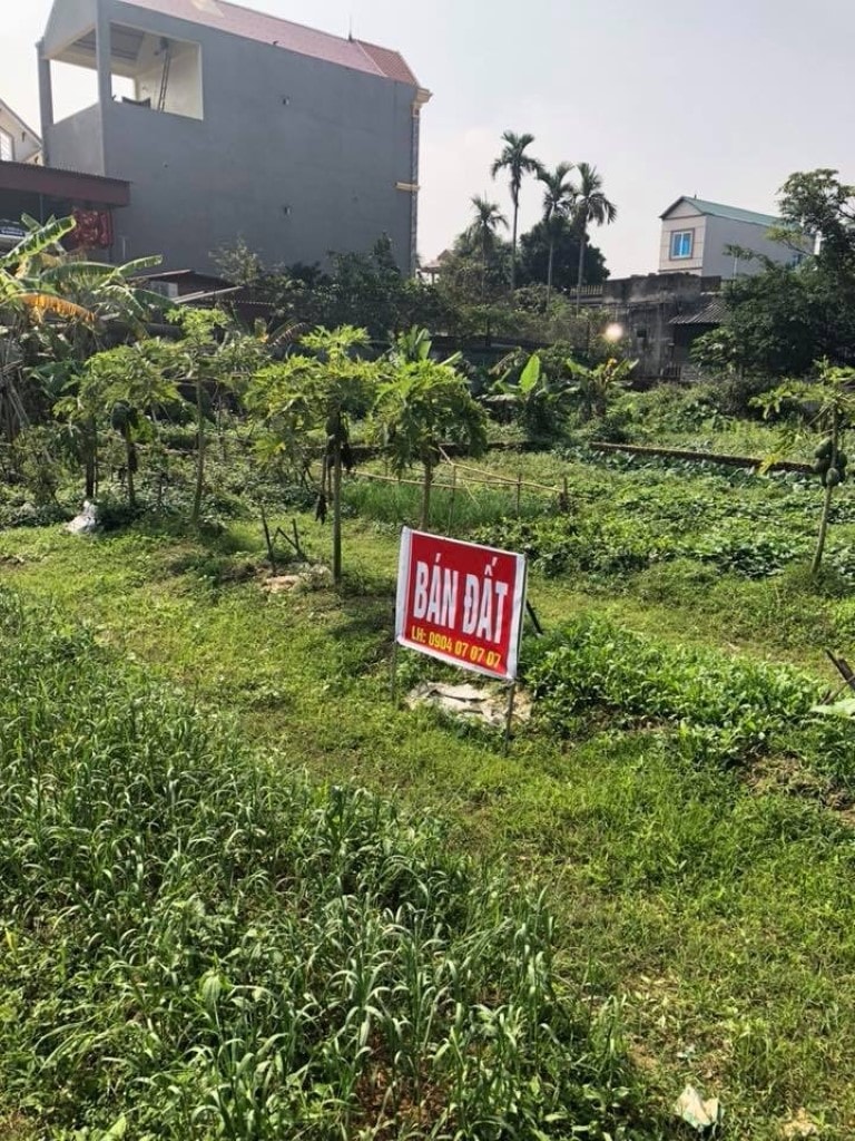 Cơn sốt đất đã vào tận hang cùng ngõ hẻm của 4 huyện trong đó có Đông Anh.