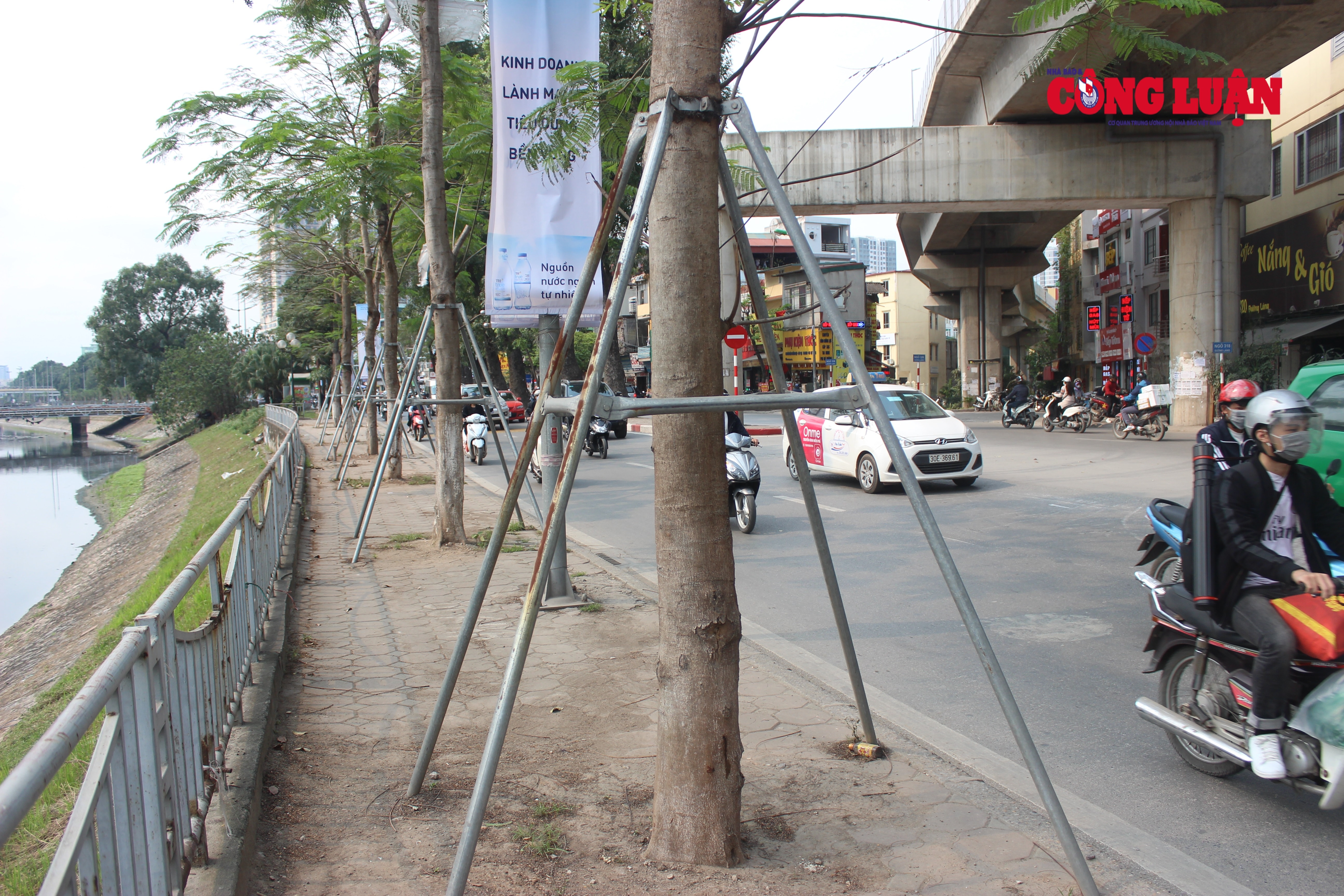 Cây xanh trên đường Láng đang bị 