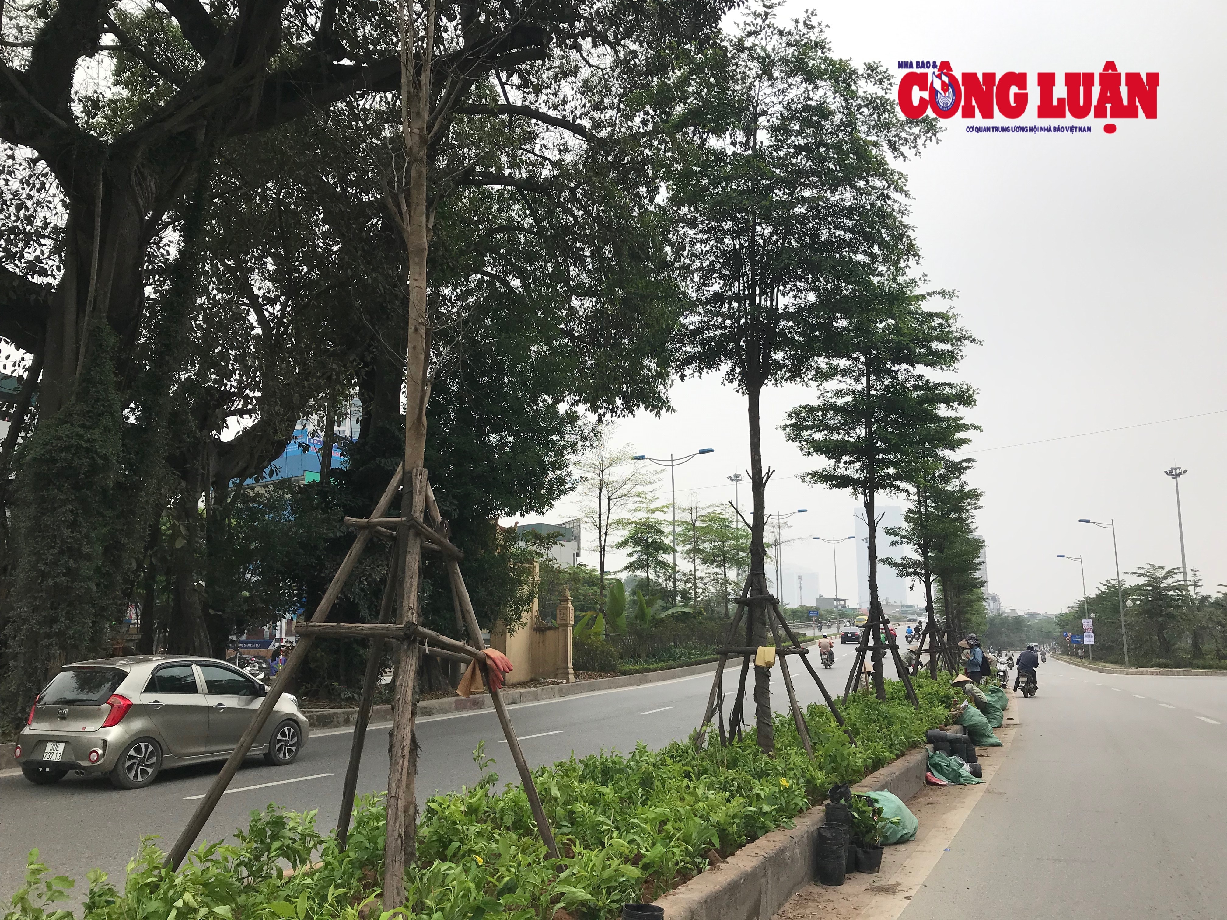 Những cây chống bằng gỗ sau một thời gian sử dụng đã hư hỏng