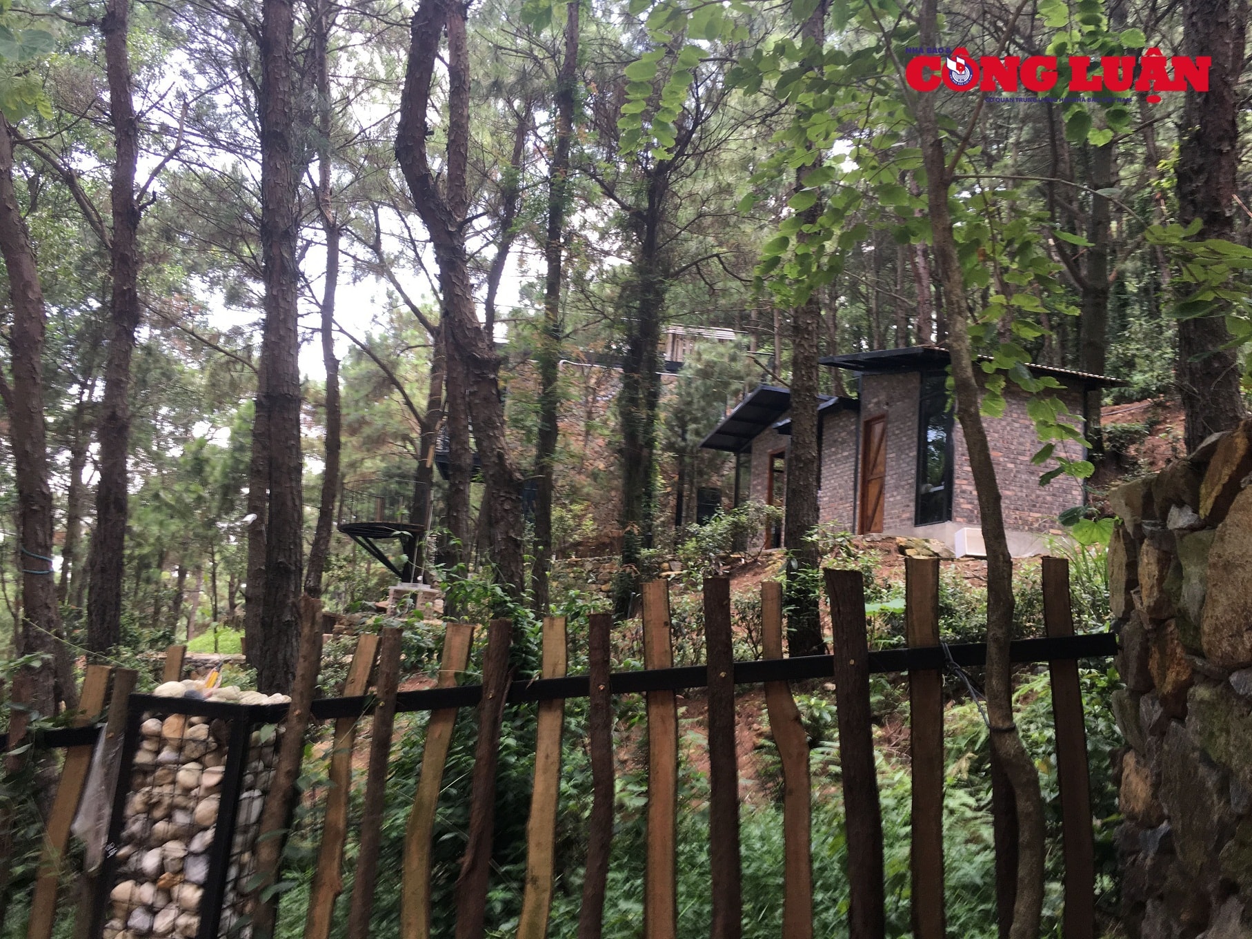 Nhiều công trình dạng homestay xây dựng tràn lan trên đất rừng phòng hộ tại xã Minh Phú.