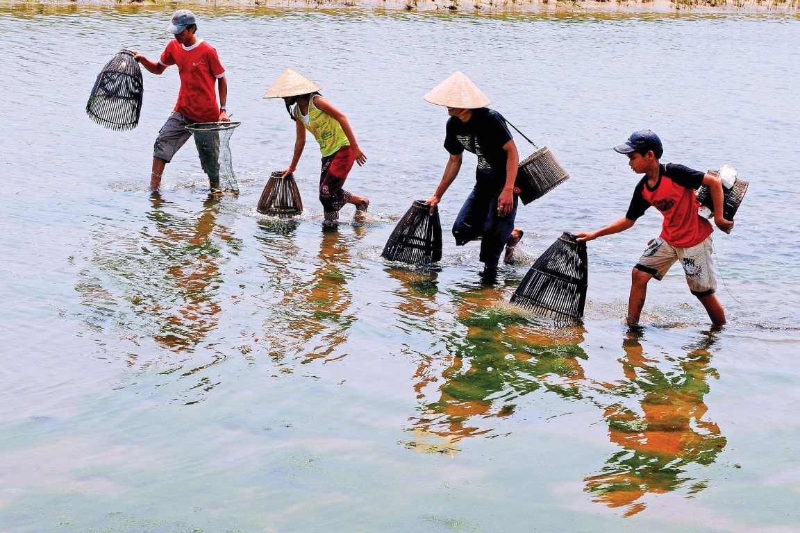 Chơm cá - Ảnh: Hoàng Xuân Trí.