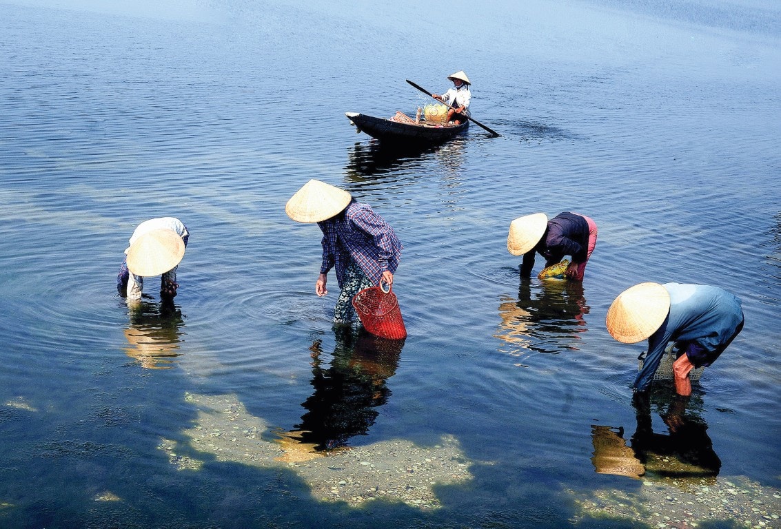 Nét đời thường trên phá Tam Giang. Ảnh: Võ Đông Bảy.