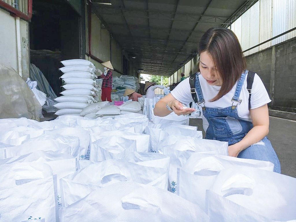Gạo sạch Sông Tiền có mặt ở TP. Đà Nẵng.