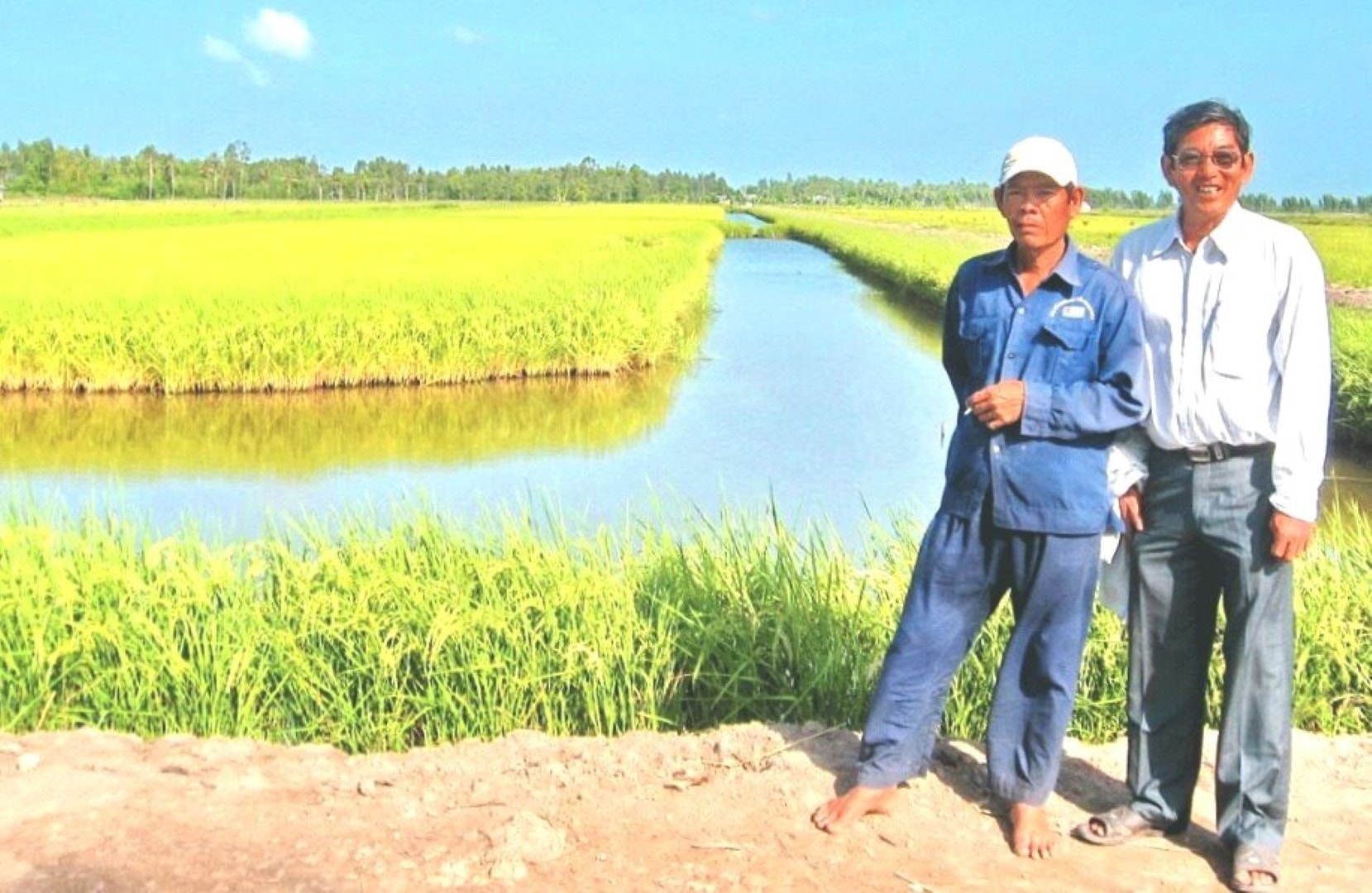 Kỹ sư Hồ Quang Cua cùng nông dân ở vùng tôm - lúa tỉnh Kiên Giang - Ảnh X.T