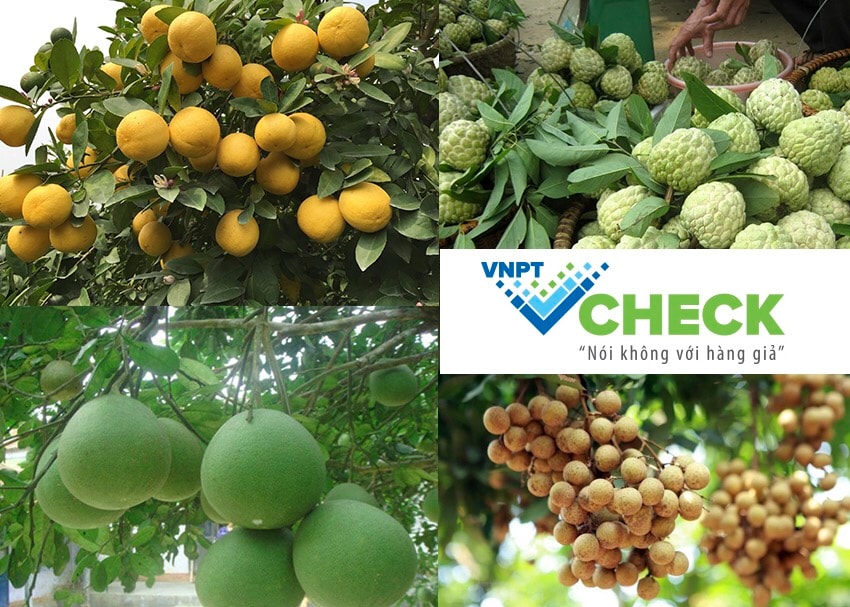 Các nông sản đặc sản sử dụng tem truy xuất nguồn gốc hàng hóa VNPT Check