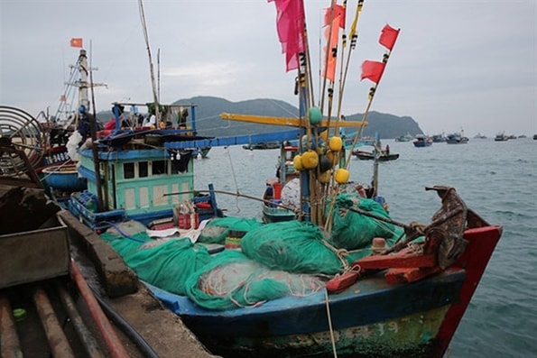 Thủ tướng yêu cầu ngăn chặn, chấm dứt ngay tình trạng tàu cá và ngư dân địa phương khai thác hải sản trái phép ở vùng biển nước ngoài. Ảnh minh họa