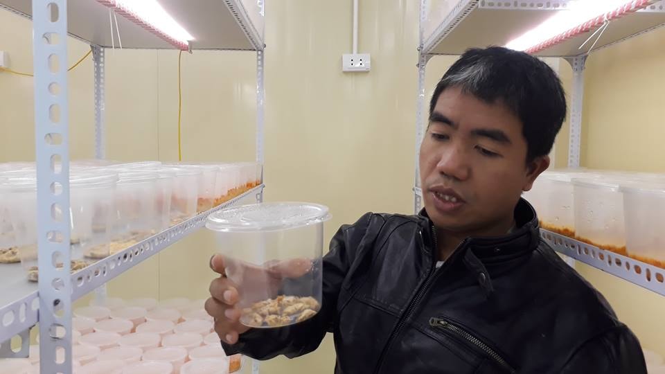 Ông Nguyễn Văn Cường cùng các nhà nghiên cứu, các thành viên đã nghiên cứu và nuôi cấy thành công rất nhiều giống Đông trùng Hạ thảo