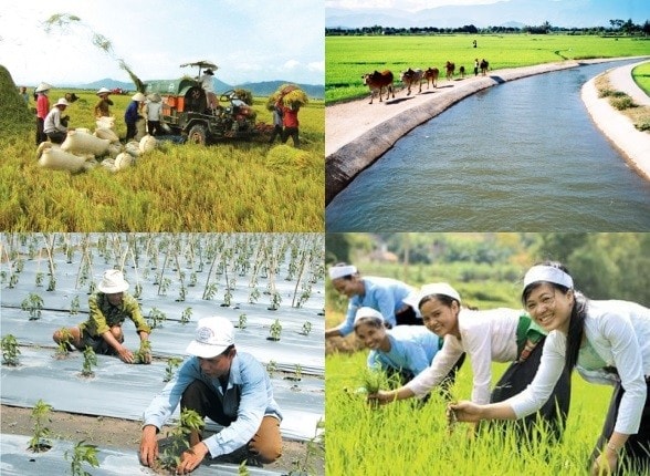 ảnh minh họa, nguồn internet