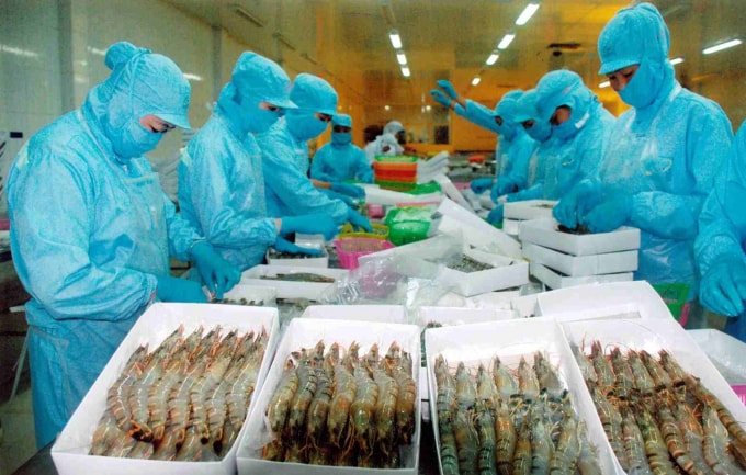Tôm đông lạnh và cá tra là hai mặt hàng truyền thống, đang có chỗ đứng khá vững trên thị trường Canada. (Ảnh TL)
