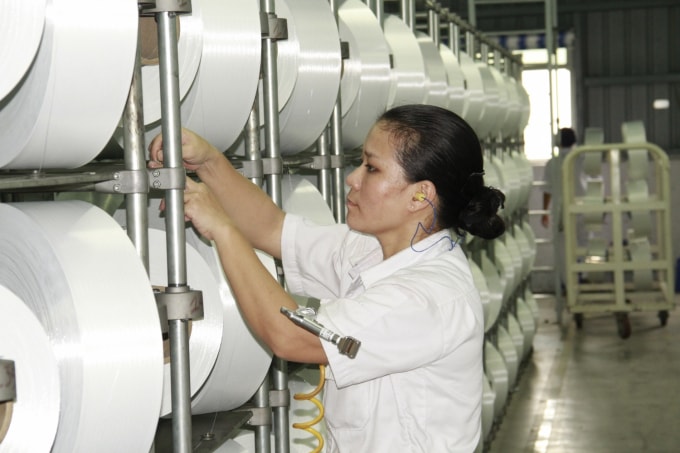 Kiểm tra chất lượng nguyên liệu sợi tại NMXS Đình Vũ