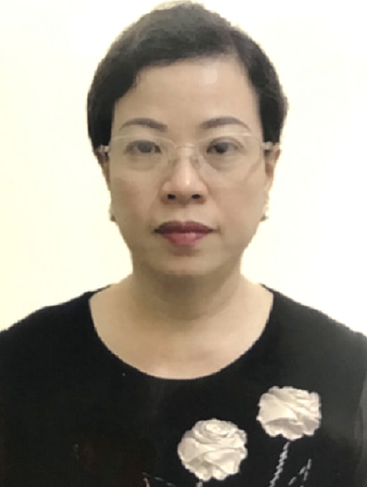 Bị can Diệp Thị Hồng Liên. Ảnh: CAND