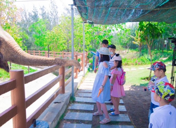 Ảnh: Facebook FLC Quynhon Beach & Golf Resort