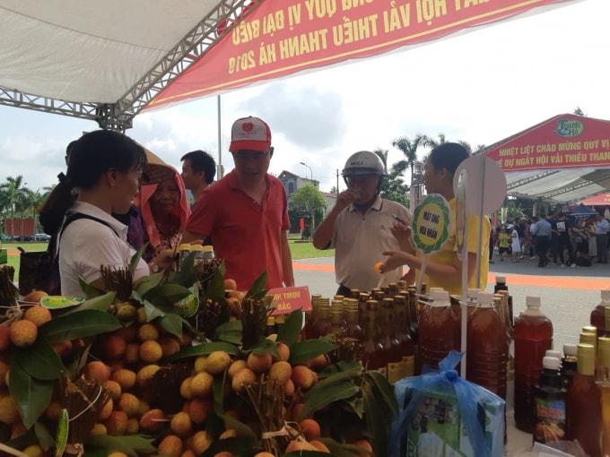 Năm nay là năm đầu tiên vải thiều Thanh Hà được Nhật Bản nhập khẩu theo đường chính ngạch. Ảnh: Ngọc Thành