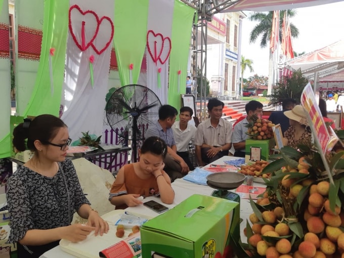 Một gian hàng bày bán, giới thiệu vải chín sớm U Hồng tại ngày hội. Ảnh: Ngọc Thành