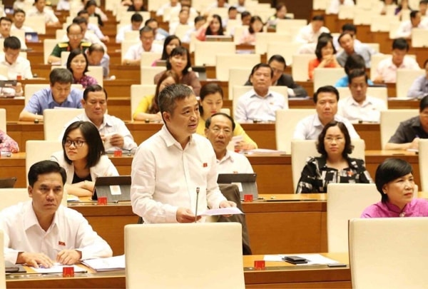 Đại biểu Nguyễn Lân Hiếu cho rằng, Bộ Công Thương cần rà soát, rút kinh nghiệm về phương pháp tiến hành, cách thức quản lý, giám sát trong việc điều hành giá điện. Ảnh: VGP