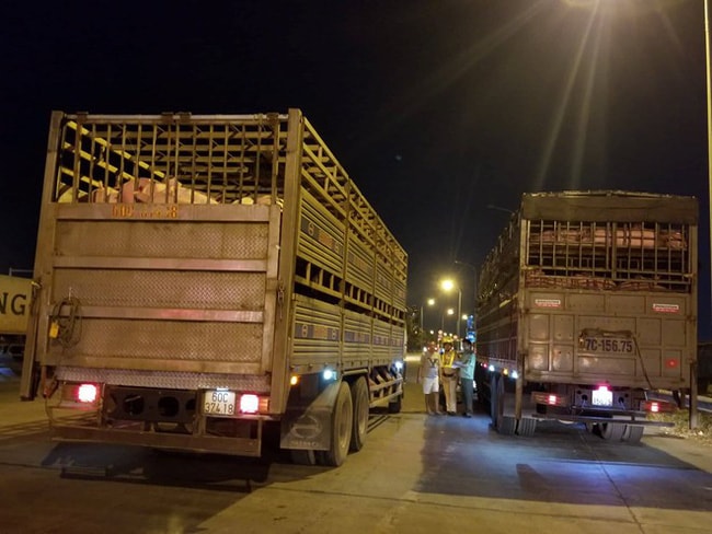 Lực lượng chức năng phun thuốc tiêu độc khử trùng một xe chở lợn. Ảnh: ĐCSVN