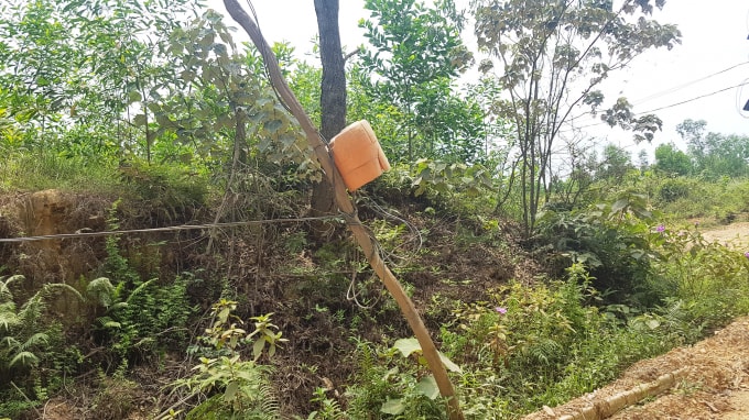 Dây điện được người dân tự dựng bằng trụ tre, gỗ tạm bợ dọc hai bên mép đường ở xóm 10, xã Đức Dũng (huyện Đức Thọ) để kéo điện từ trụ điện hạ thế về nhà dân.