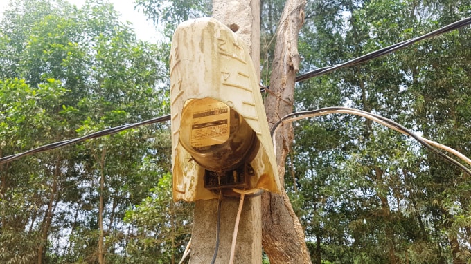 Dây điện chằng chịt, sà ngang đầu người đi đường; đồng hồ điện được che chắn bằng can nhựa, nguy cơ mất an toàn do nhiễm điện rất cao.