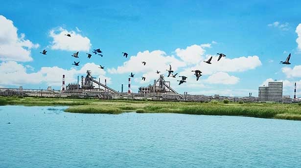 Hệ thống hồ thuỷ sinh với mối trường sống tự nhiên xanh, sạch thu hút nhiều loài sinh vật thuỷ sinh và chim trời về trú ngụ, sinh trưởng