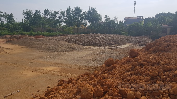 Khu đấu giá quyền sử dụng đất tại khu Đầm Thùng