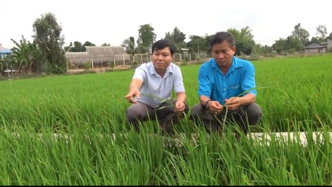 Nhà báo Dương Út (trái) và nhân vật Trần Anh Dũng (Ảnh: NVCC)