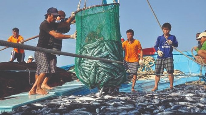 Nếu không giải quyết được các vấn đề về khai thác IUU, Việt Nam sẽ bị xác định là quốc gia không hợp tác và có thể sẽ bị áp dụng biện pháp “thẻ đỏ”. (Ảnh TL)