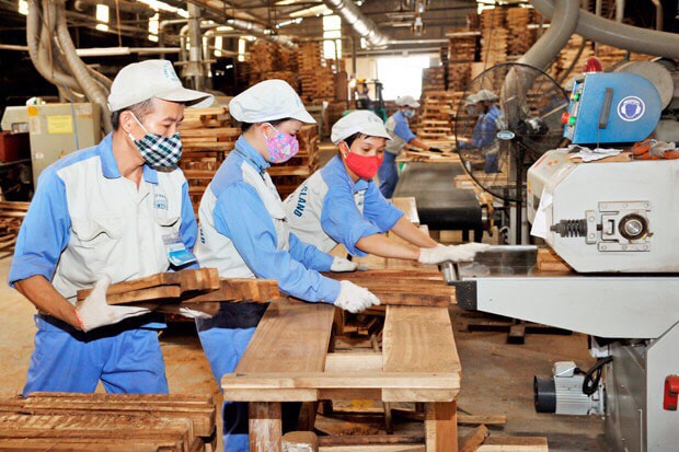 Ngành công nghiệp gỗ Việt Nam áp dụng quy trình sản xuất tốt nhất để bảo đảm sự phát triển bền vững. (Ảnh TL)