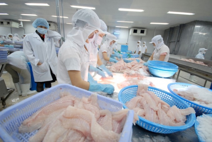 5 tháng đầu năm nay, cá tra đang đứng trong Top 4 sản phẩm cá thịt trắng được ưa chuộng nhất ở châu Âu. (Ảnh TL)