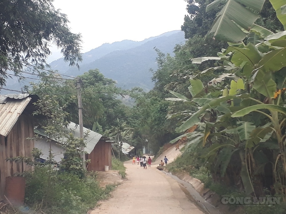 Nhiều đồng bào dân tộc thiểu số ở huyện Nam Trà My vẫn chưa được hưởng lợi từ chính sách rừng theo Nghị định 75 của Chính phủ. (Ảnh: H.T)