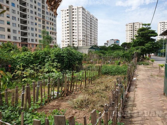 Hiện trạng khu đất đấu giá tại Khu đô thị Sài Đồng