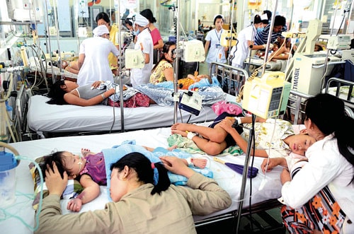 Hà Nội: Yêu cầu sàng lọc người bệnh sốt xuất huyết để ngăn chặn dịch bệnh. Ảnh: Mecon