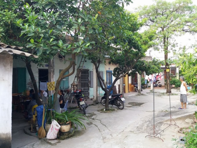 Một phần khu đất với nhiều khúc mắc trong việc cấp sổ đỏ, thu hồi, chuyển đổi mục đích sử dụng đất.